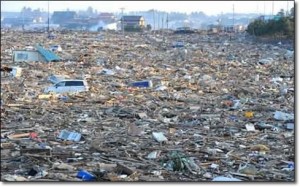 tsunami-environmental-impact